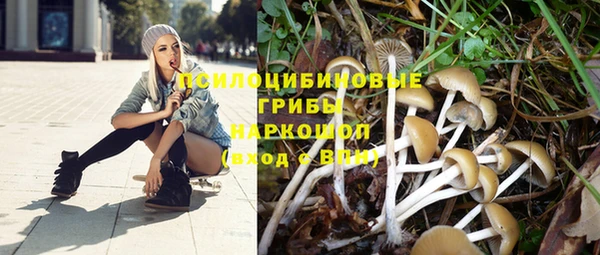 ешки Дмитров