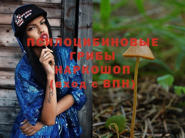 mix Дмитриев