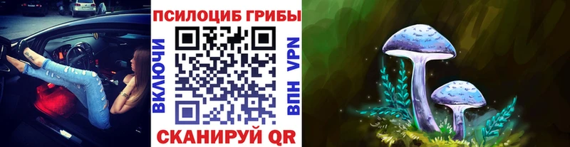 маркетплейс официальный сайт  Черемхово  Псилоцибиновые грибы Cubensis 